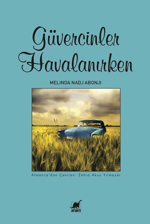 Güvercinler Havalanırken