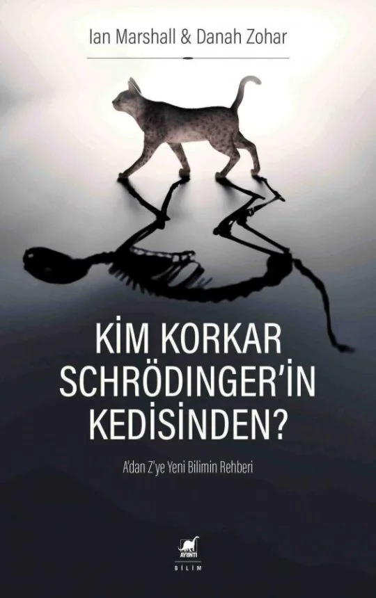 Kim Korkar Schrödinger'in Kedisinden?