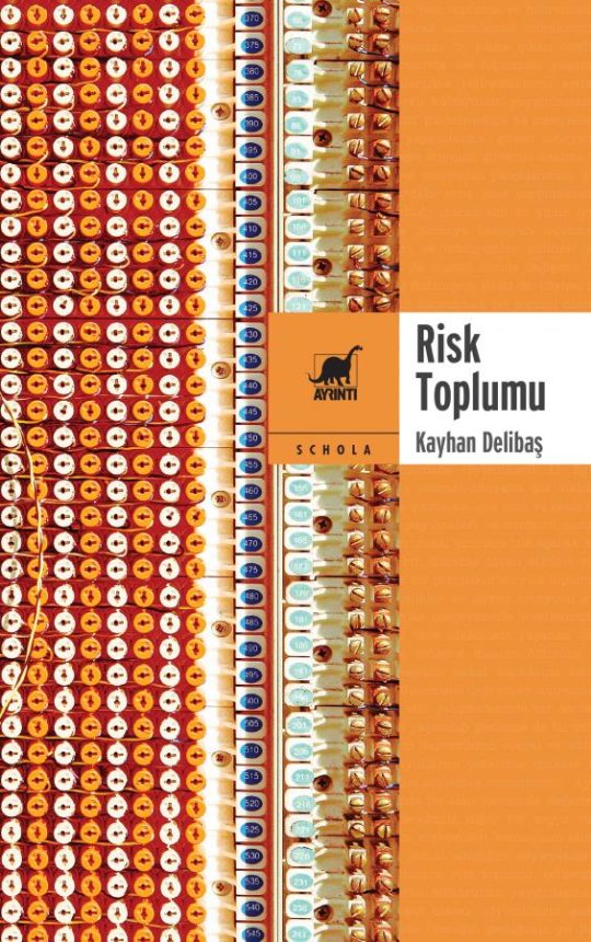 Risk Toplumu