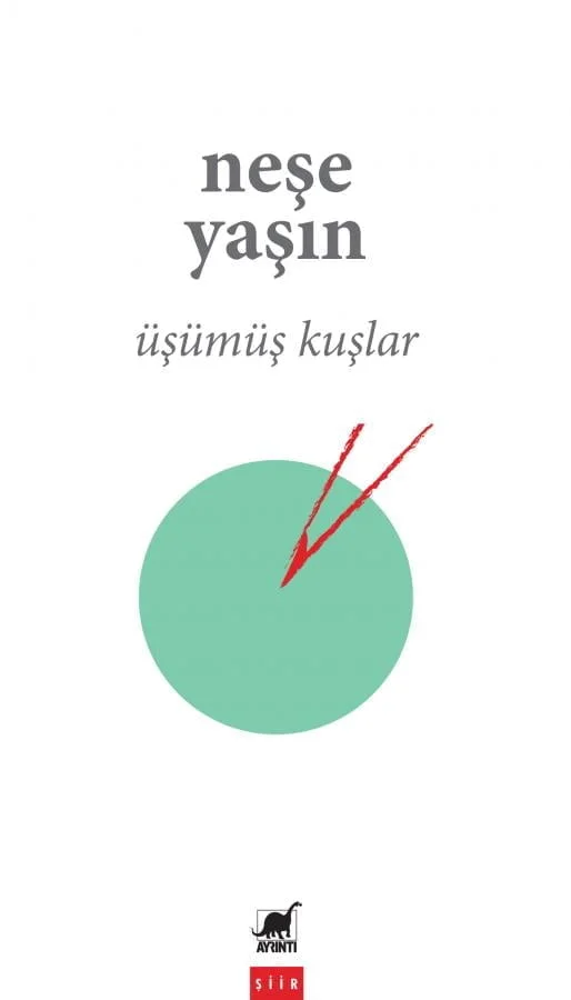Üşümüş Kuşlar