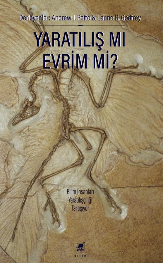 nidorina evrim tablosu